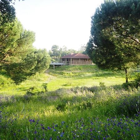 Coudelaria Vale Pau Villa Коруши Екстериор снимка