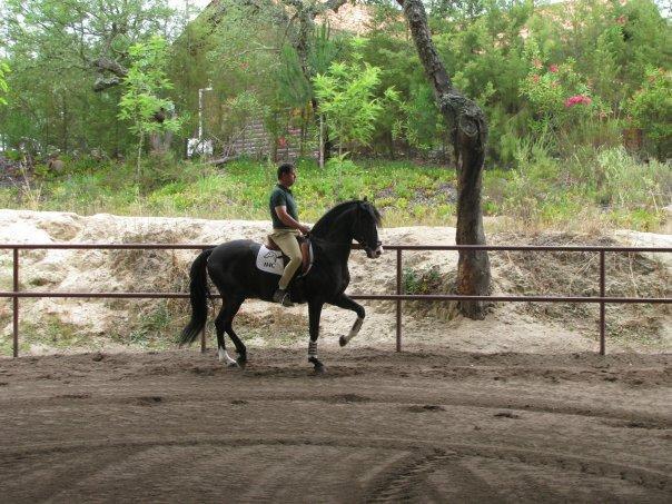 Coudelaria Vale Pau Villa Коруши Стая снимка