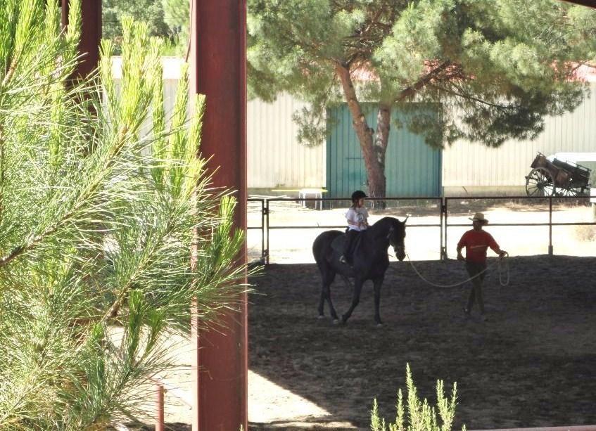 Coudelaria Vale Pau Villa Коруши Стая снимка