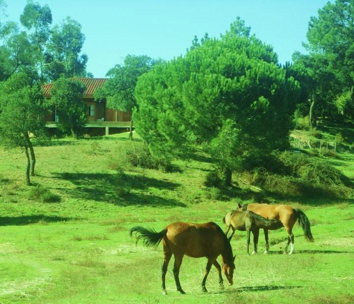 Coudelaria Vale Pau Villa Коруши Екстериор снимка